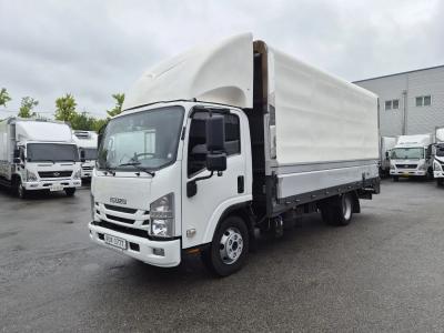 2019 Isuzu Elf