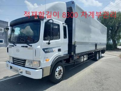 2010 Hyundai Mega Truck