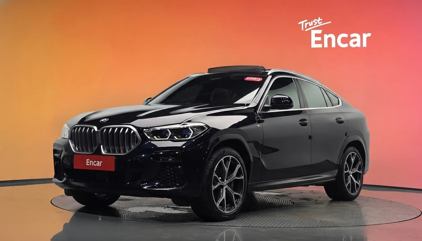 2022 BMW X6