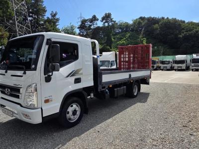 2021 Hyundai Mighty