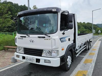 2016 Hyundai Mega Truck