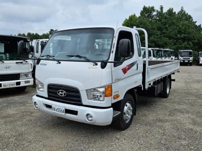 2009 Hyundai e-Mighty