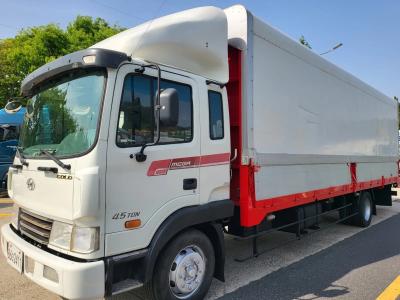 2010 Hyundai Mega Truck