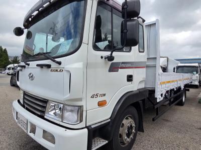 2010 Hyundai Mega Truck