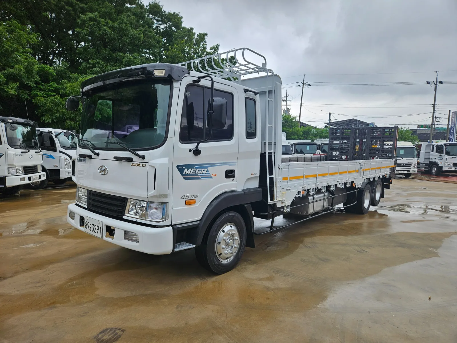 2010 Hyundai Mega Truck