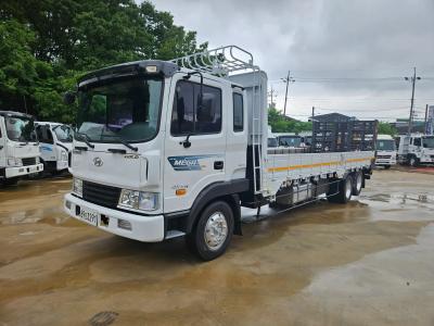 2010 Hyundai Mega Truck