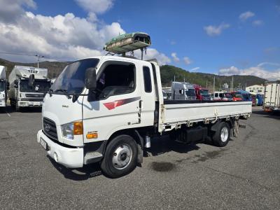 2011 Hyundai e-Mighty