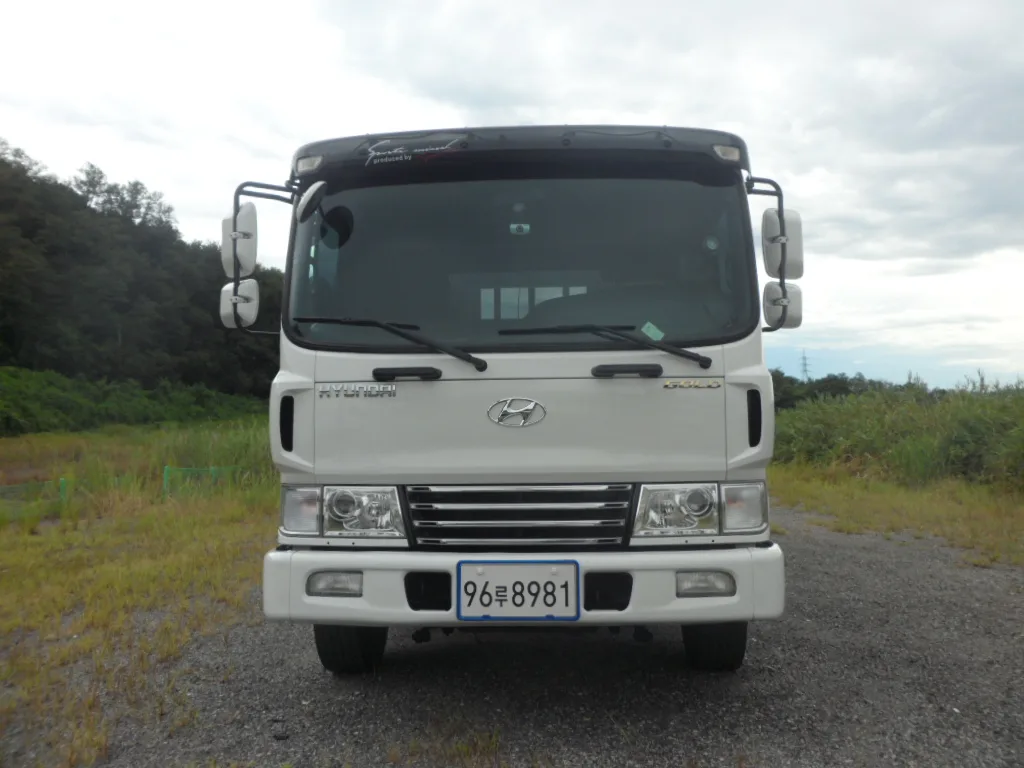 2012 Hyundai Mega Truck