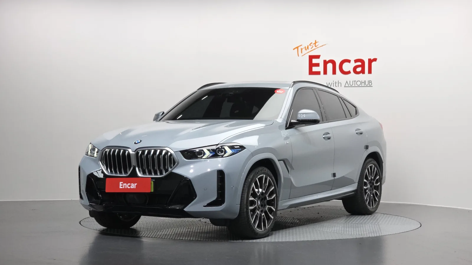 2025 BMW X6