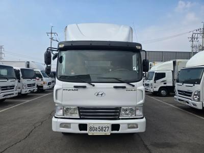 2011 Hyundai Mega Truck