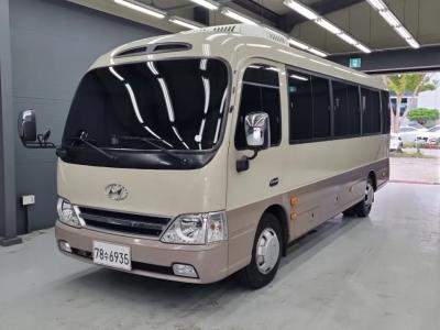 2018 Hyundai New County