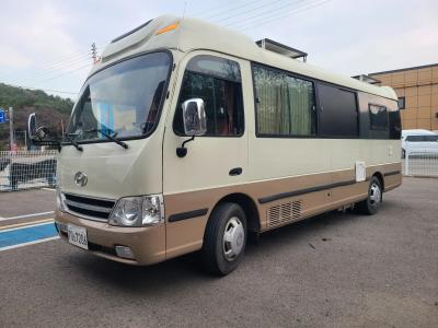 2010 Hyundai Bus Type
