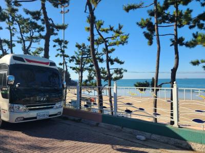 2009 Hyundai Bus Type