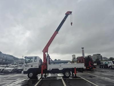 2010 Hyundai Mega Truck