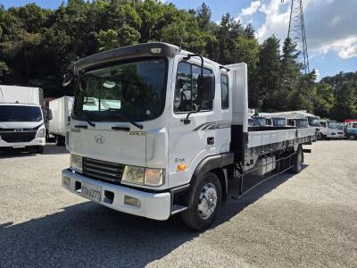 2011 Hyundai Mega Truck