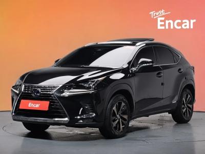 2019 Lexus NX