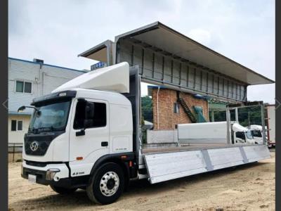 2023 Hyundai Pavise