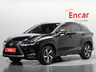 2021 Lexus NX