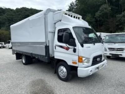2014 Hyundai e-Mighty