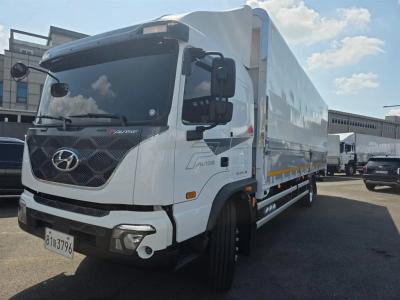 2023 Hyundai Pavise