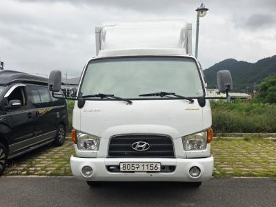 2010 Hyundai e-Mighty