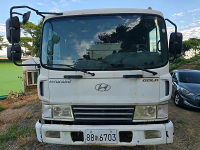 2005 Hyundai Mega Truck