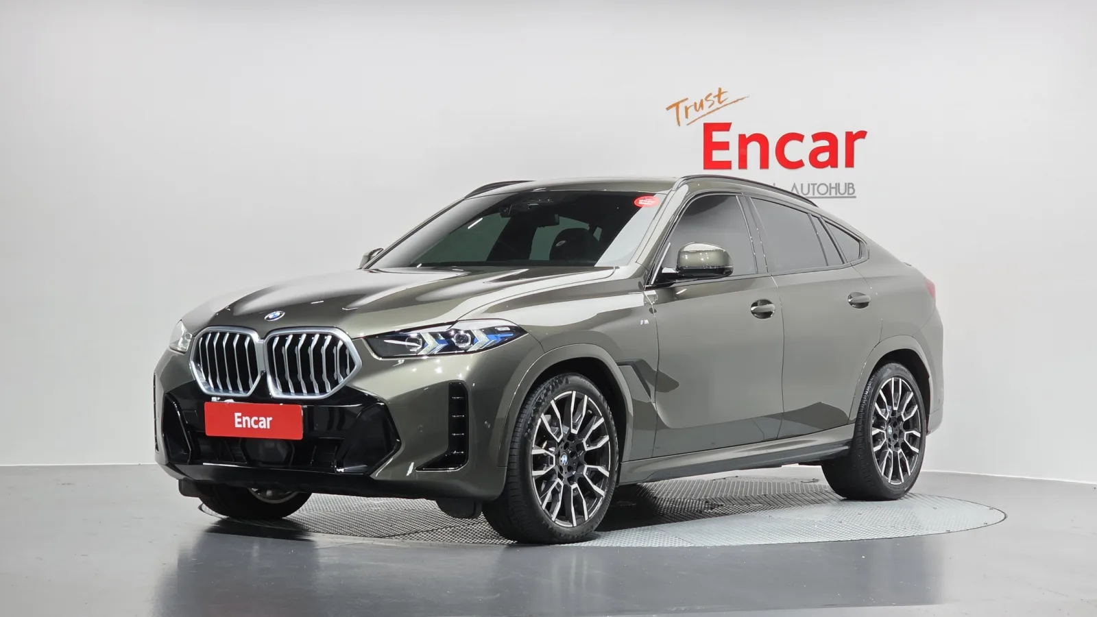 2024 BMW X6
